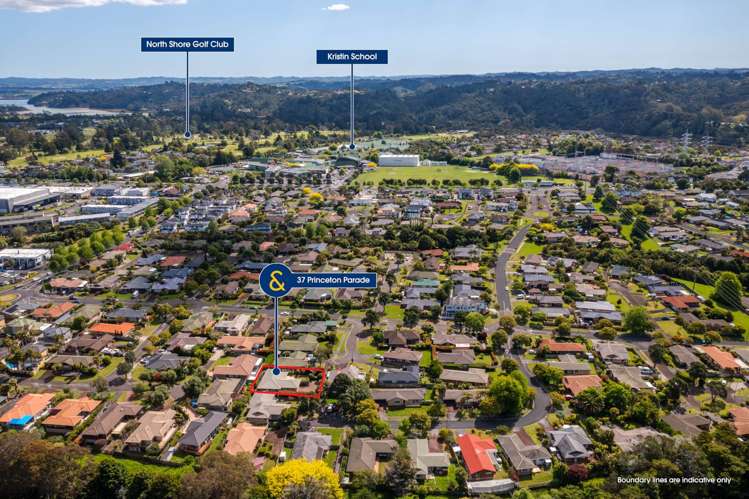 37 Princeton Parade Albany_30