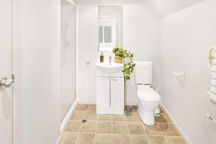 219d Peachgrove Road Claudelands_7