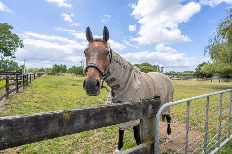 193a Duncan Road Tamahere_32