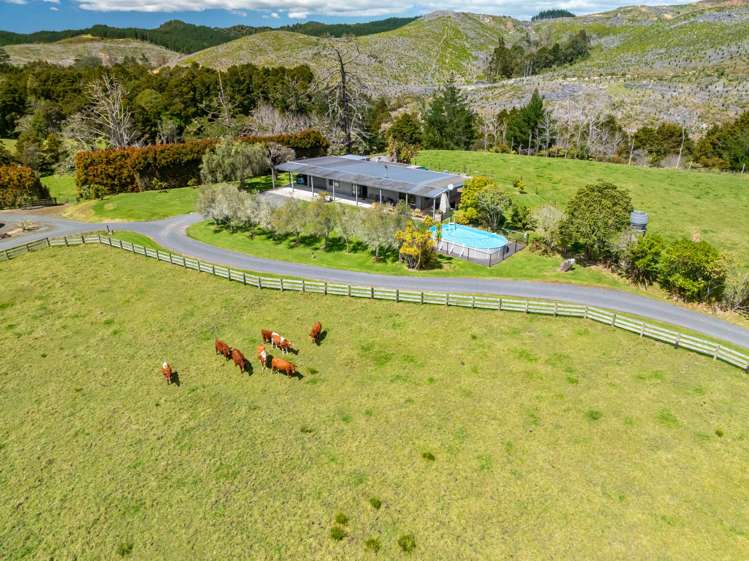 83 Waitangi Road Kiripaka_30