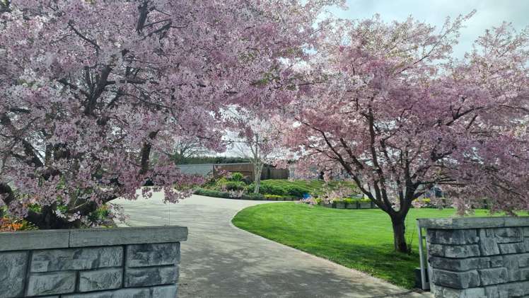 9 Belle Amie Drive Te Awamutu_5