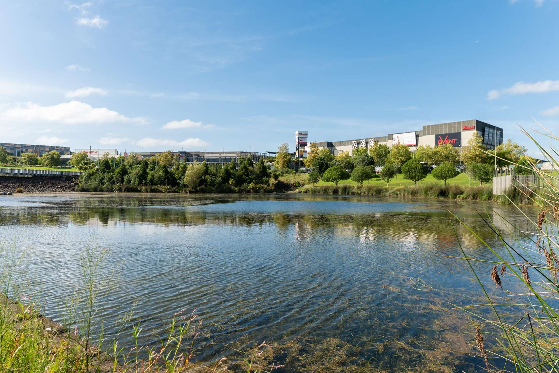 104/5 Rose Garden Lane Albany_0