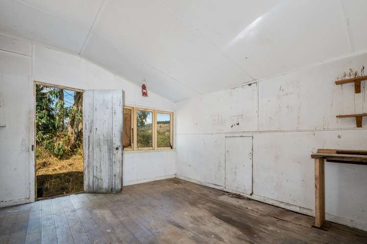 90 Tadmor-Glenhope Road Kahurangi National Park_8