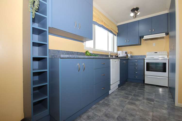 329 Racecourse Road Waverley_8