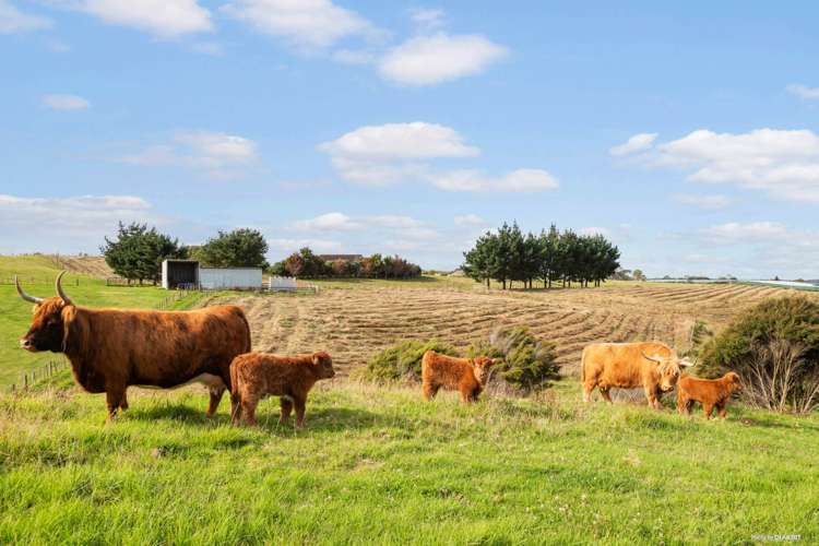 87A Parakau Road Waiuku_6