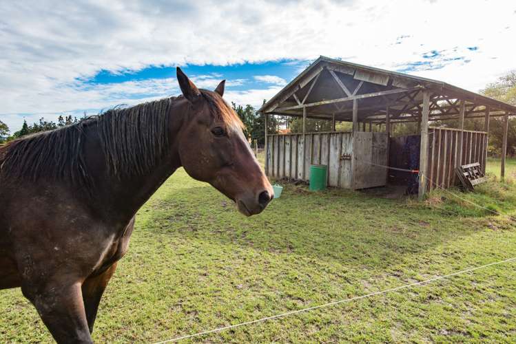 49 River Terrace Road Brightwater_16