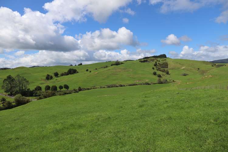 Inkster Road Maromaku_17