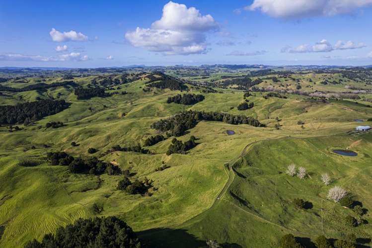 235 Hilford Road Waiotira_24
