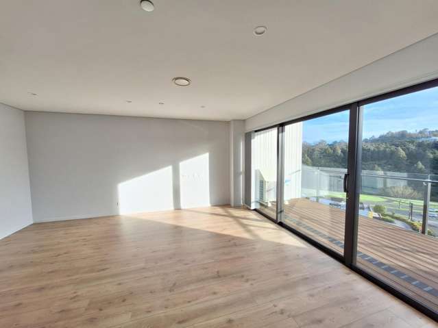 509/3 Kaipiho Lane 10862_3