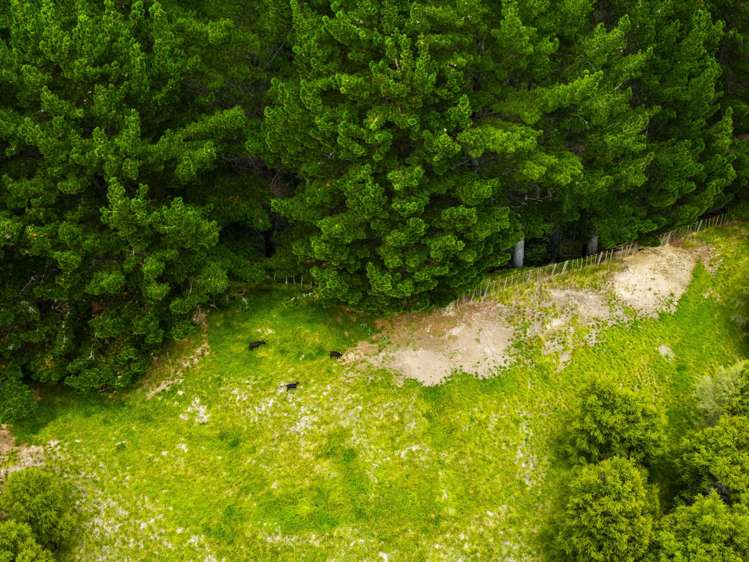 1247 Wharekopae Road Ngatapa_14