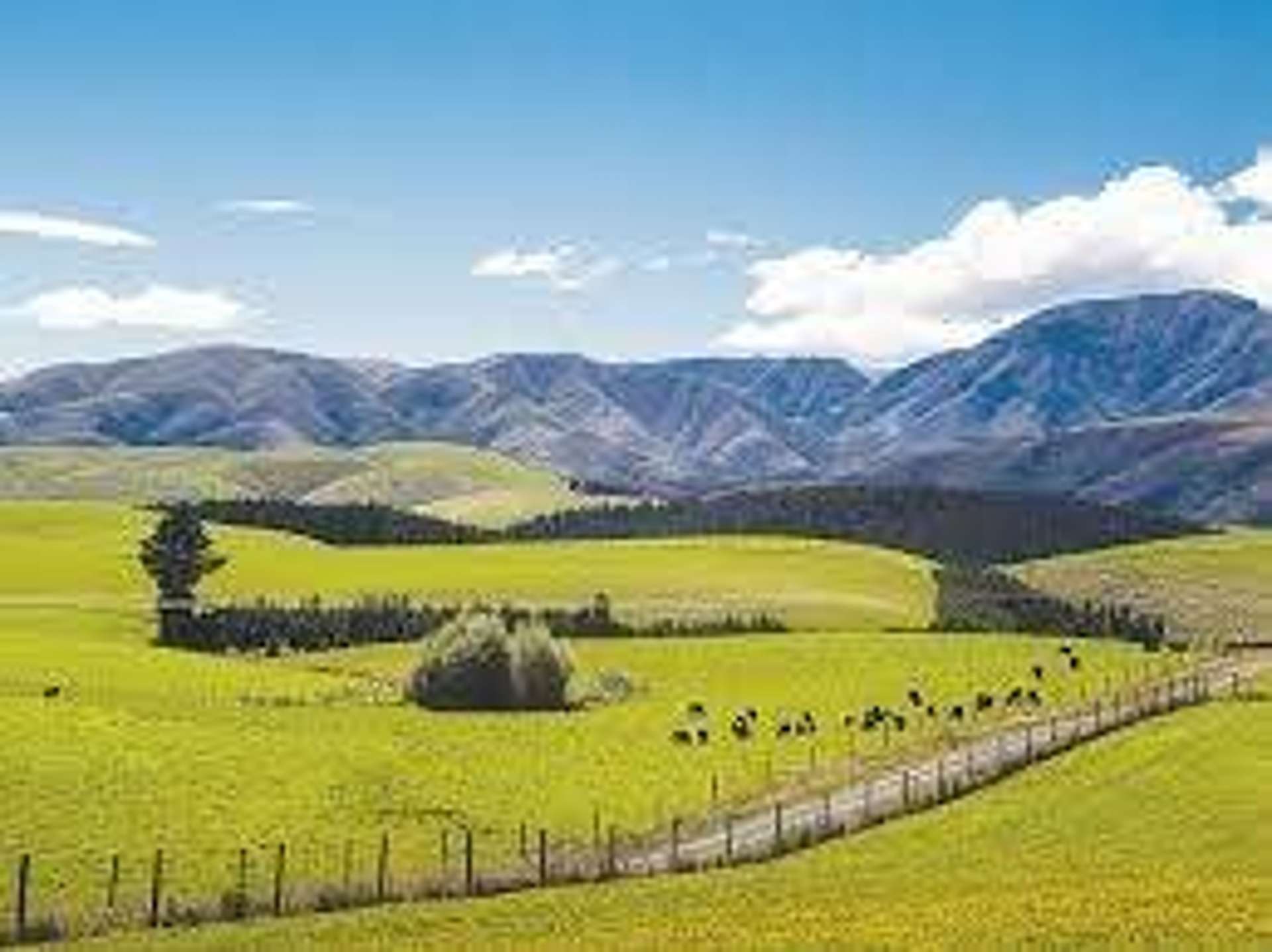 316E Ostrich Farm Road Pukekohe_0