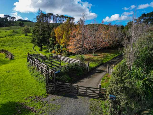 487 Kanohi Road Kaukapakapa_1