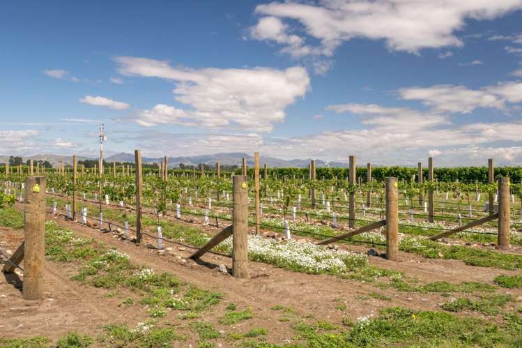 101 Flaxmill Drive Rarangi_25