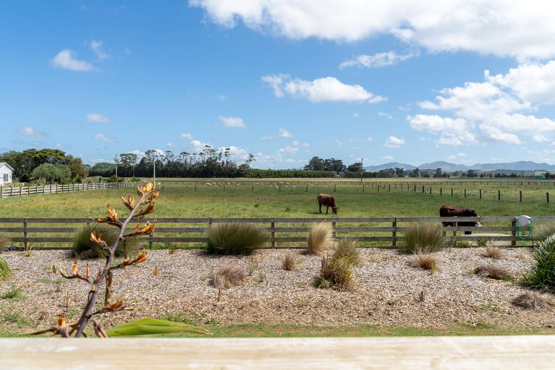 74 Awakino Point East  Road Dargaville Rd2_0