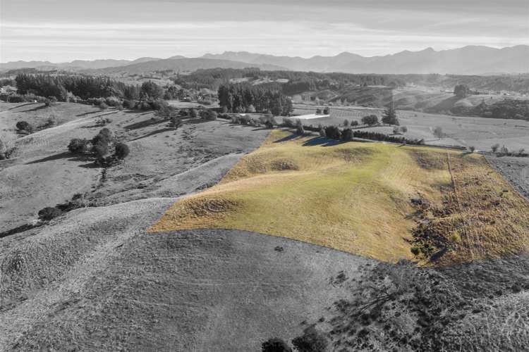 Central Road Upper Moutere_6