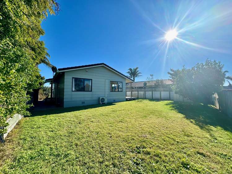 61B Domain Road Papamoa_10