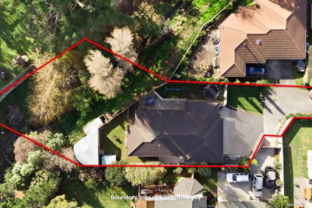 15 Delphi Grove Tuakau_3