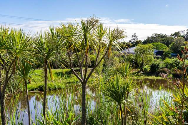 9 Kahu Drive Mangawhai_4