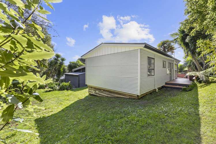 12C Primrose Street Raglan_33