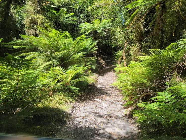 254 Doughboy Road Kokatahi_44