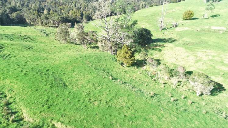 386 Pawarenga Road Broadwood_8