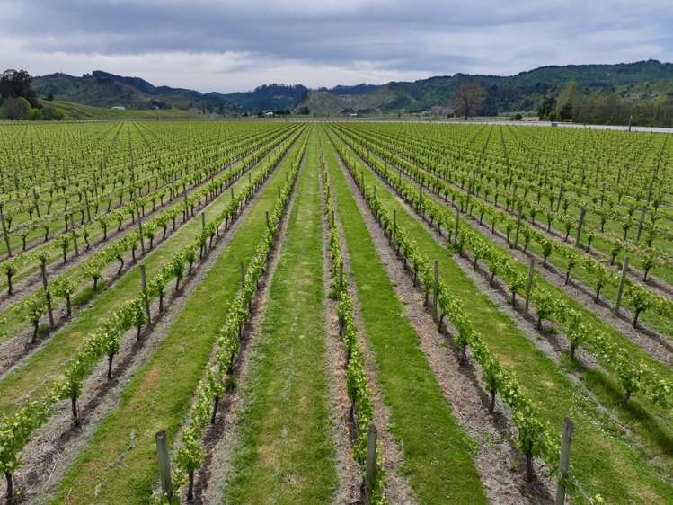 2057 Matawai Road Te Karaka_17