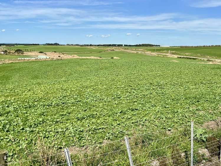 135 Orr Road Waimatua_7