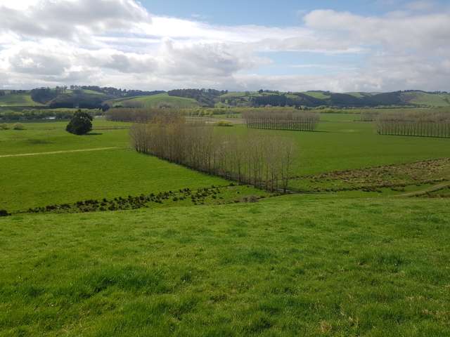 173 Soper Road Clinton and Surrounds_4