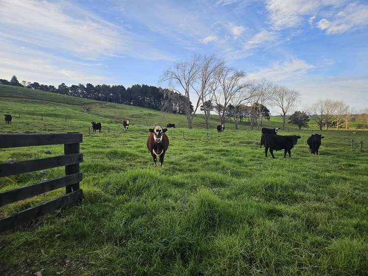 1500 Mangawhai Road Te Arai_34
