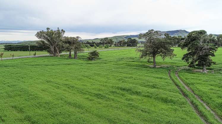1947 Christchurch Akaroa Road Ataahua_14
