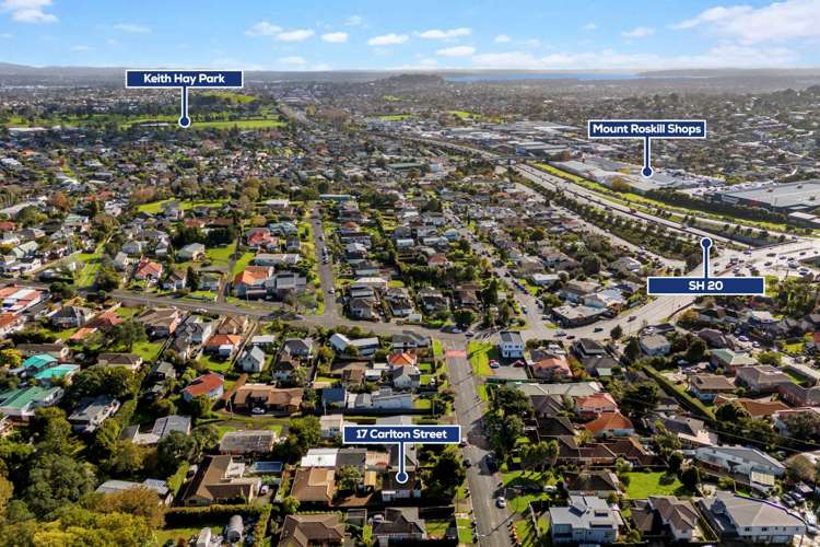 17 Carlton Street Hillsborough_16