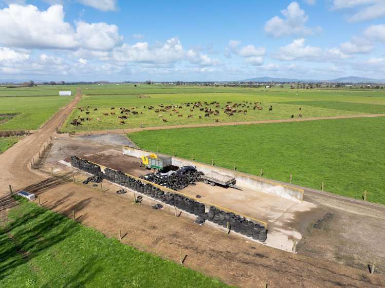 208 Diagonal Road Morrinsville_15