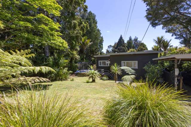 262 Shaw Road Titirangi_2