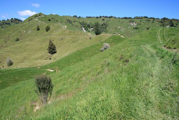 5 Marco Road Ruapehu-King Country Surrounds_12