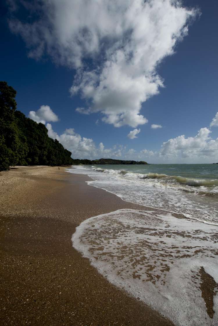 8 Braemar Avenue Coopers Beach_16