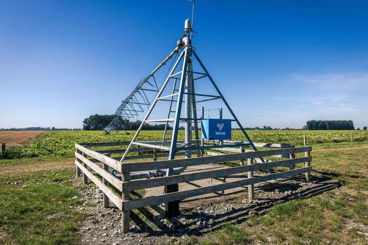 1710 Ealing Montalto Road Ashburton_23