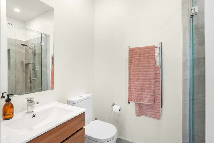 55 Nelson Street Petone_8