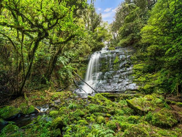 20 McLaren Falls Road Lower Kaimai_2