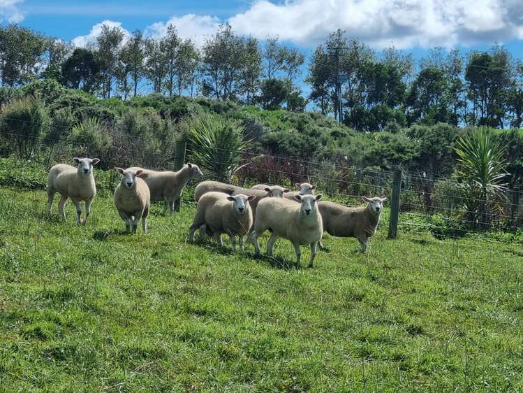 28 Houkura Way Kaiwaka_31