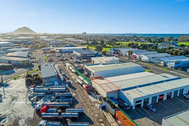 4/126 Newton Street Mt Maunganui_3