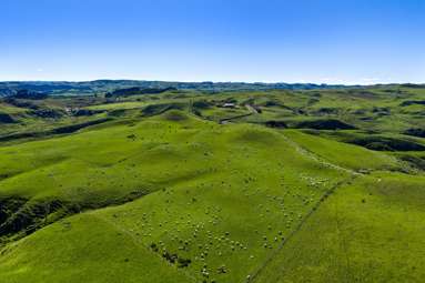 767 Te Akau Coast Road_1