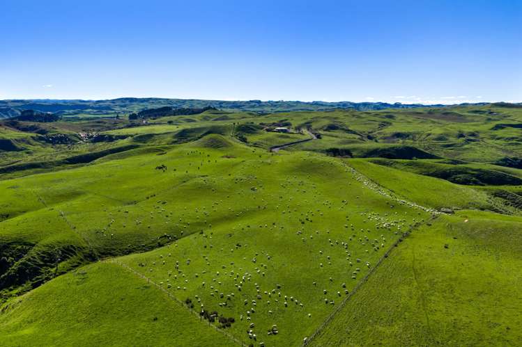 767 Te Akau Coast Road Te Akau_1
