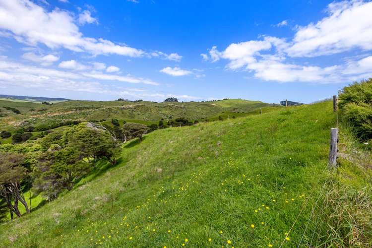 Te Akau Coast Road Te Akau_21