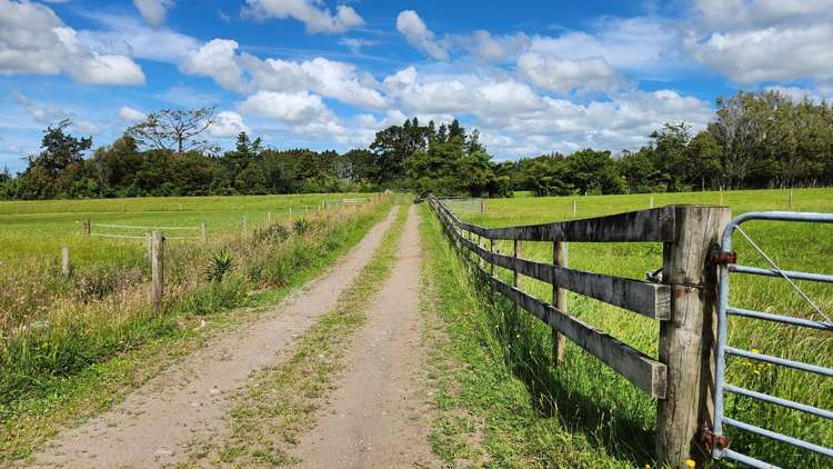 71 Lepper Road Inglewood_18