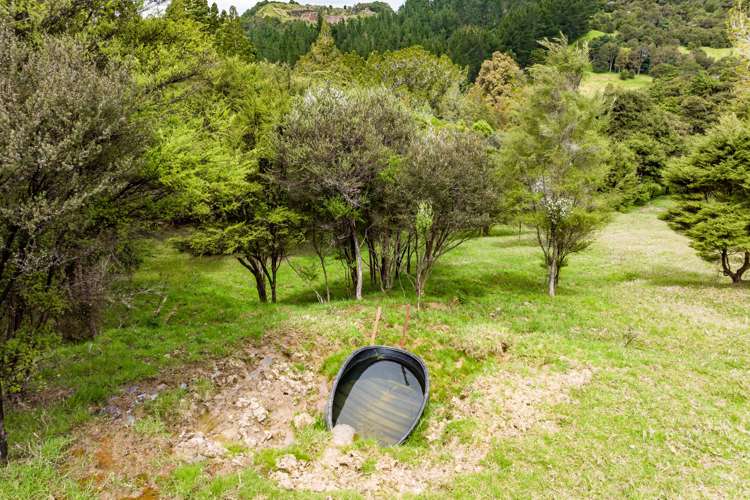 827 Tinopai Road Tinopai_33