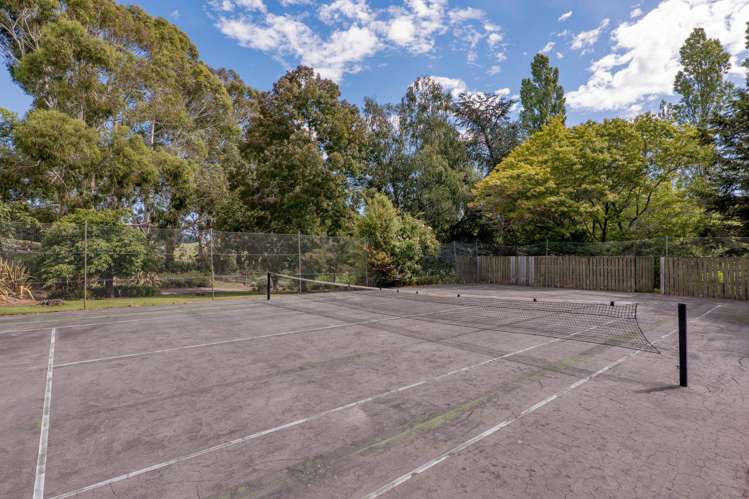 299 Domett Road Domett_30