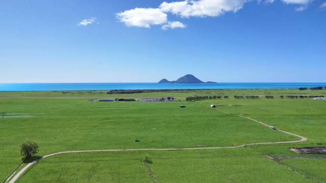 203A Aerodrome Road Thornton_2