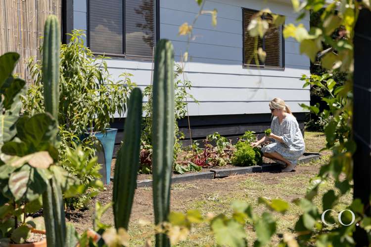 11c Lowry Road Te Puke_17