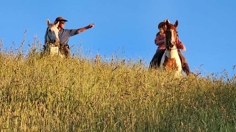 964 Tarata Road Kaimata_10