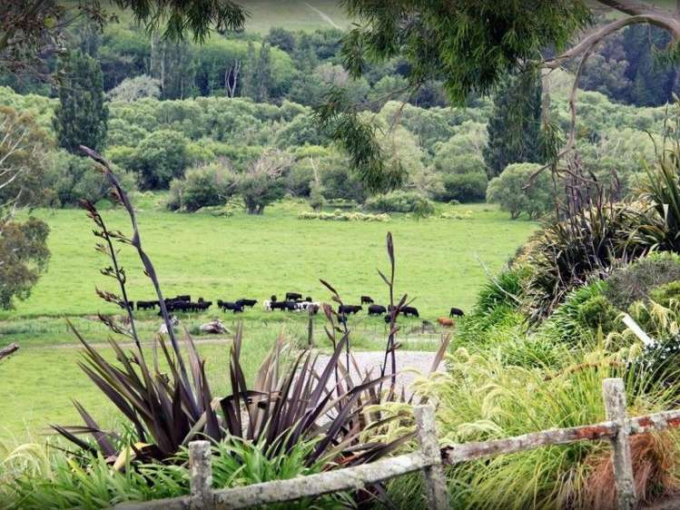 171 Hinakura Road Martinborough_5